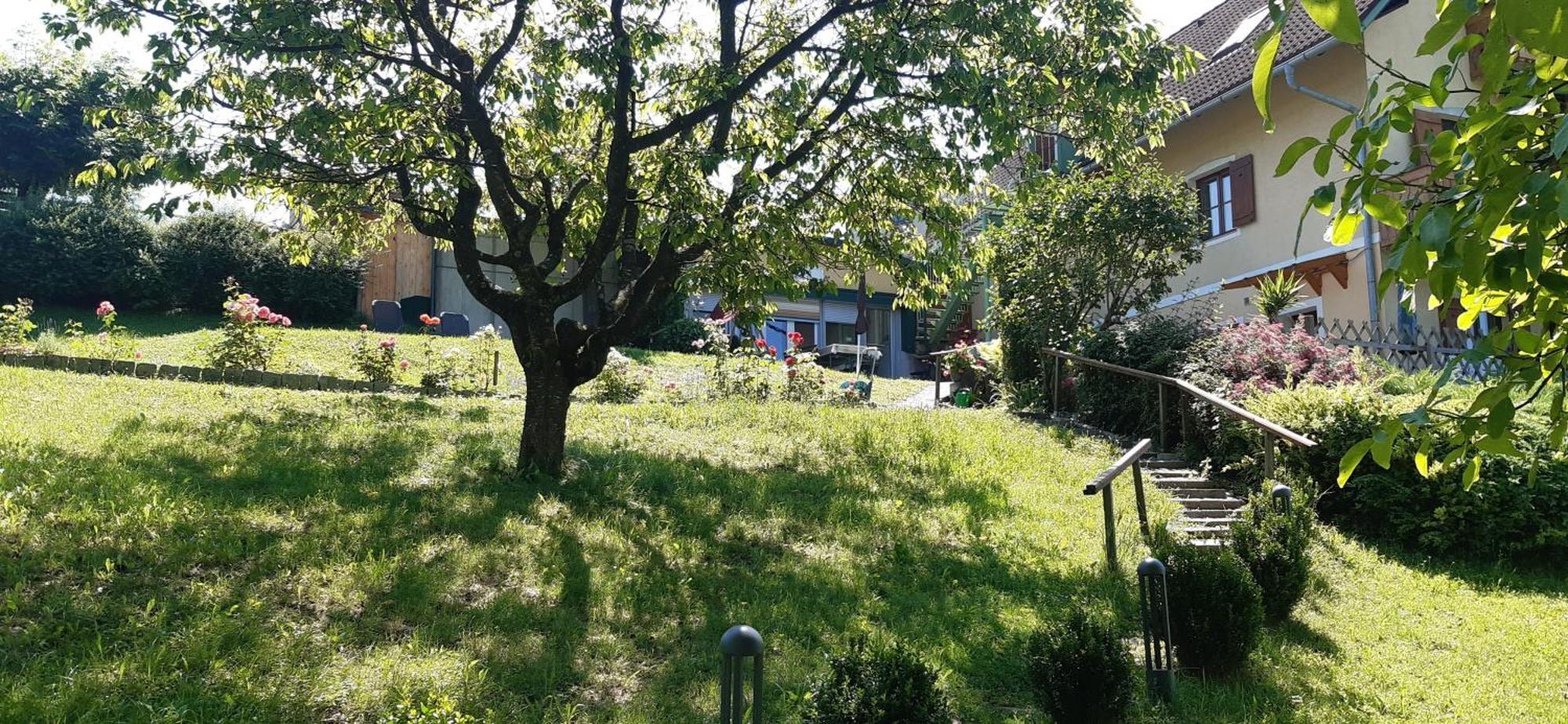 Ferienwohnungen Soravia ガムリッツ エクステリア 写真